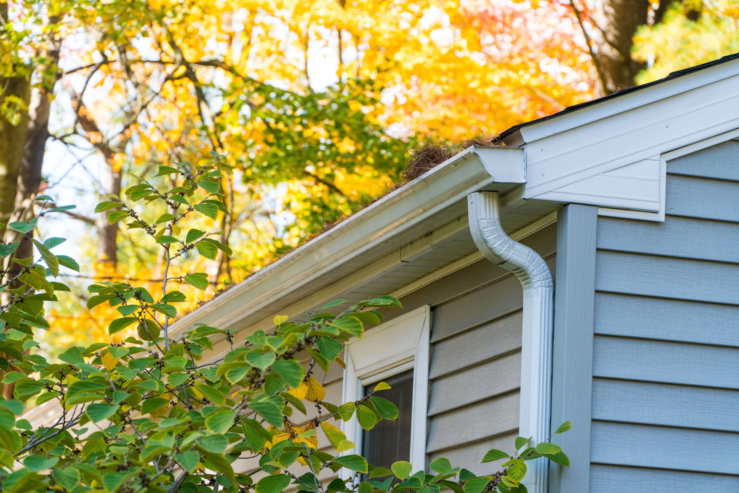 Seamless Gutter Installation